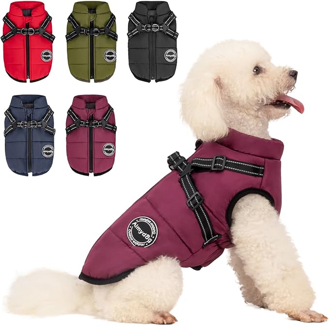 Warm Winter Coat - Sports Dog Jacket, Reflective & Adjustable, Waterproof & Windproof for Small Dogs (Purple)