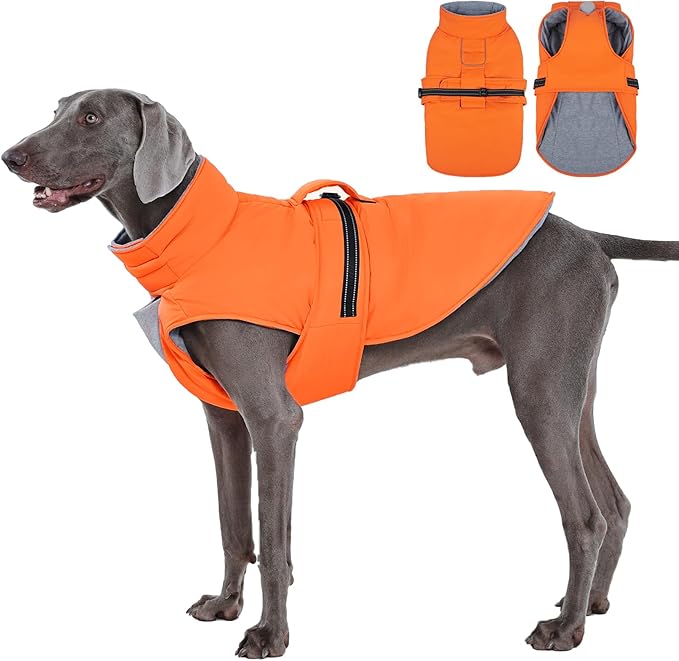IECOii Dog Jackets for Large Dogs Winter - Reflective, Adjustable & Windproof Winter Coat with Comfortable Fleece Lined Vest for Daily Walk, Running, Ski Trips, Waterproof, Orange, Size 2XL