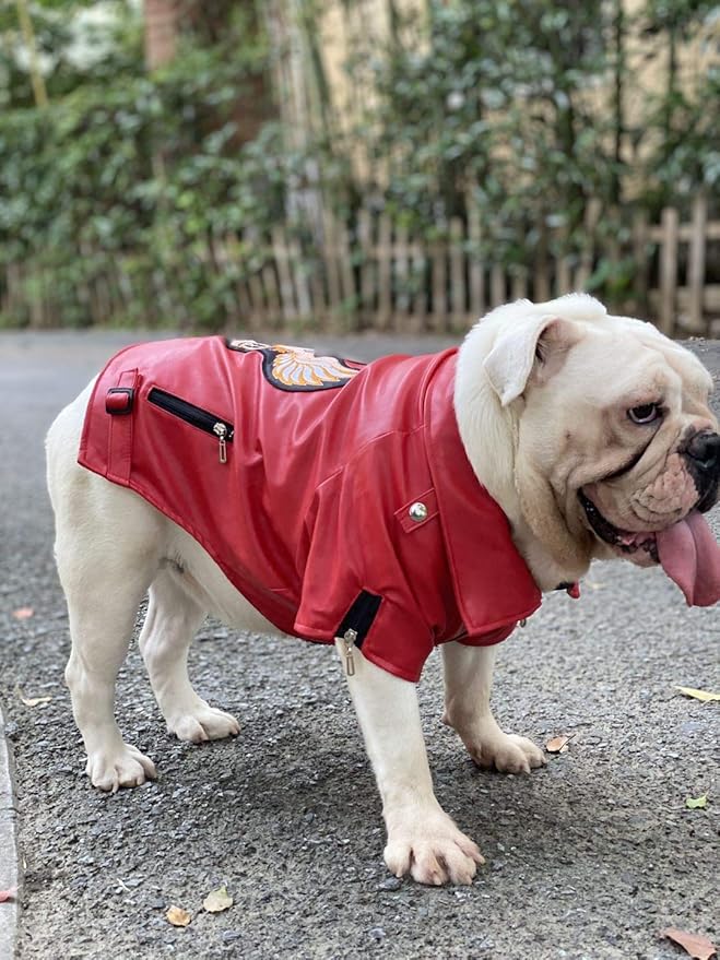 Lovelonglong Cool Dog Leather Jacket, Warm Coats Dogs Windproof Cold Weather Coats for Large Medium Small Dogs with Eagle Embroidery Red B-M