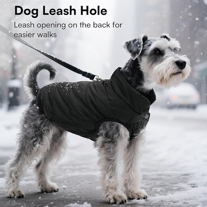 ASENKU Windproof Dog Winter Coat Waterproof Fleece Jacket Cold Weather Pet Apparel for Small Medium Large Dogs (Black, S)