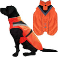 Dog Rain Coat - Waterproof, Reflective, Bright Orange with Leash Hole (M, Orange)