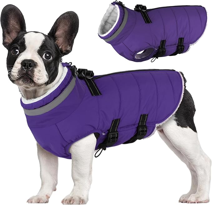 Large Dog Coat with Harness Built-in, Waterproof Reflective Fleece Lined - Warm Windproof Winter Jacket with Back Zipper, Cold Weather Snow Dog Coats - Purple - XL