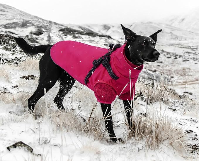 Lelepet Dog Coat 3 in 1 Waterproof Dog Winter Jacket with Harness Built in Windproof Snow Jakcet with Detachable Fleece Sweater Lining Reflective Thermal Cold Weather Coats for Small Medium Large Dogs