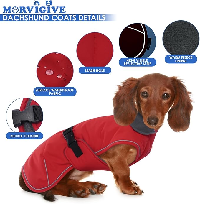 Dachshund Coat Warm Winter Dog Coat - Red, Medium - Dachshund Jacket with Fleece Lining, Waterproof Dog Coat Christmas Dachshund Snowsuit with Harness Hole and Adjustable Buckle Closure