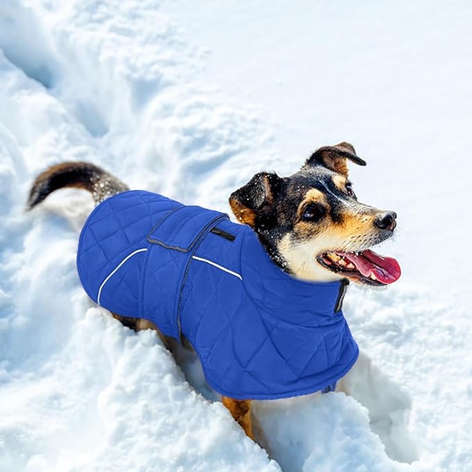Kuoser Dog Coat, Extra Warm Dog Jacket Windproof Dogs Cold Weather Coats for Small Dogs, Fleece Lining Turtleneck Doggy Snowsuit Reflective Adjustable Pet Winter Clothes Christmas, Blue S