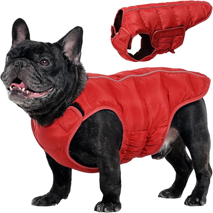 Kuoser Dog Puffer Jacket Warm Dog Coat for Small Dogs, Windproof Reflective Pet Padded Vest Cold Weather Clothes Puppy Snowsuit with Hook & Loop Coats, Easy On/Off, Red S