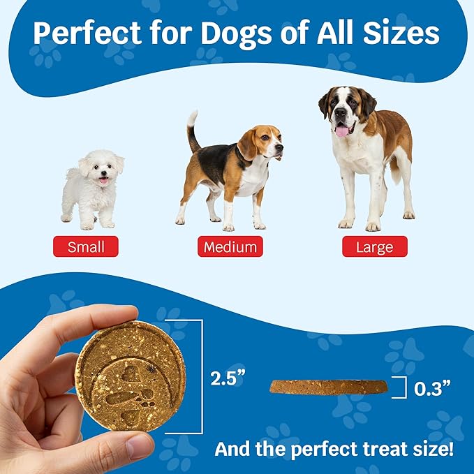 Shmush! Morning & Night Healthy Dog Biscuits – 100% All Natural Dog Treats Superfood with Blueberries, Colostrum & Moringa - Vet Formulated, Non-GMO, USA Made, Grain Free Cookies for Dogs (Box)