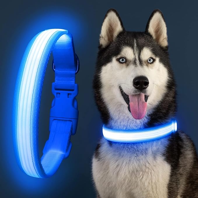 YFbrite Light up Dog Collar, USB Rechargeable LED Puppy Collar Super Bright Adjustable Glowing Dog Lights for Night Walking (Design-2- Blue, Small)