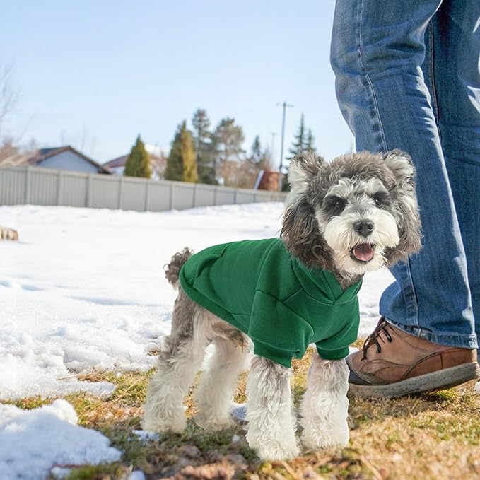 SCENEREAL Dog Hoodie Sweaters for Small Medium Large Size Dogs, Fleece Dog Sweatshirt with Hat and Pocket,Soft Cold Winter All Weather Dog Clothes for S to XL Sized Dogs, Green S