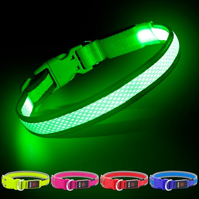 YFbrite Light up Dog Collar, USB Rechargeable LED Puppy Collar Super Bright Adjustable Glowing Dog Lights for Night Walking (Green, Medium)
