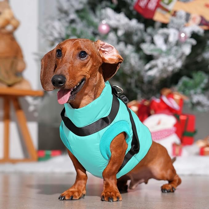 Dog Jacket with Harness,Fleece Lined Warm Puppy Coat for Winter,Soft Windproof Large Dog Vest,Bluegreen XXXL