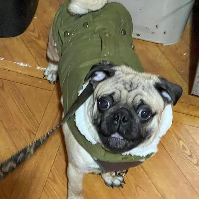 KYEESE Dog Coat Warm Pet Winter Puffer Coat with Leash Hole Waterproof Dogs Jacket with Fleece Lined Soft Pet Sweater for Cold Weather Thick Cat Clothes with Pocket Windproof Dog Coats for Small Dogs