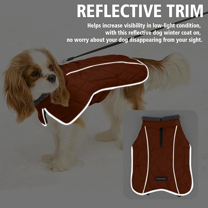 Fragralley Dog Coat Large, Waterproof Dog Jacket with Warm Fleece Lining, Adjustable Reflective Dogs Winter Coat, Turtleneck Pet Coats for Cold Weather (Orange XXL)