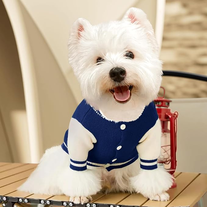 Small Dog Sweater Sweatshirt Cute Blue Puppy Sweaters - Winter Warm Knitted Bear Design for Small Puppies(L)