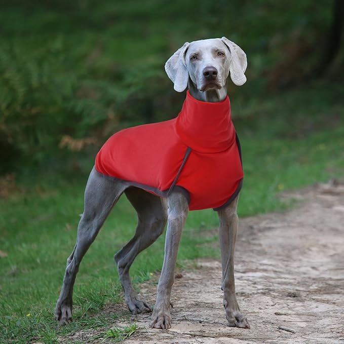 ROZKITCH Dog Winter Coat Soft Pullover Pajamas, Pet Windproof Warm Cold Weather Jacket Vest Cozy Jumpsuit Apparel Outfit Clothes for Chritmas Walking Sleep BrightRed 2XS