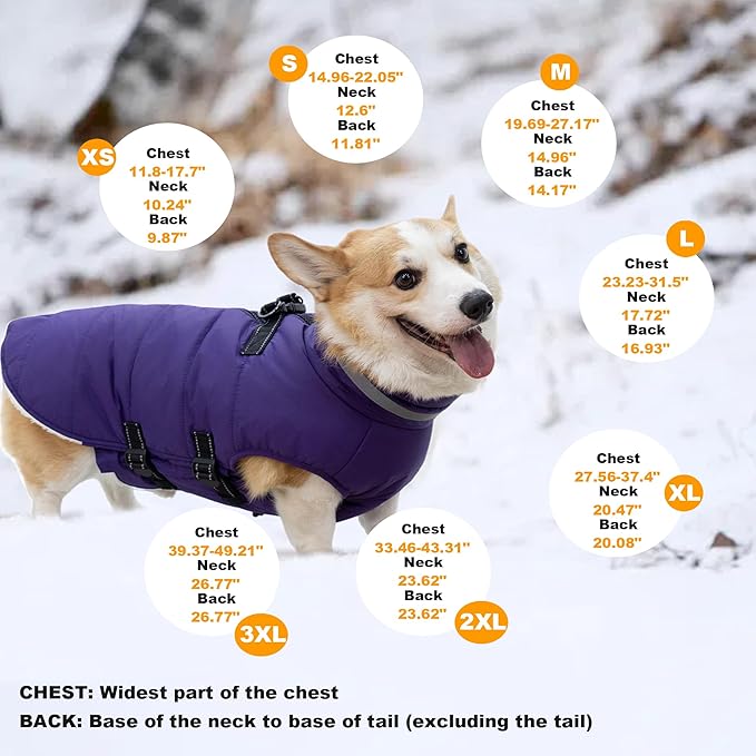 Medium Dog Coat with Harness Built-in, Waterproof Reflective Fleece Lined - Warm Windproof Winter Jacket with Back Zipper, Cold Weather Snow Dog Coats - Purple - M