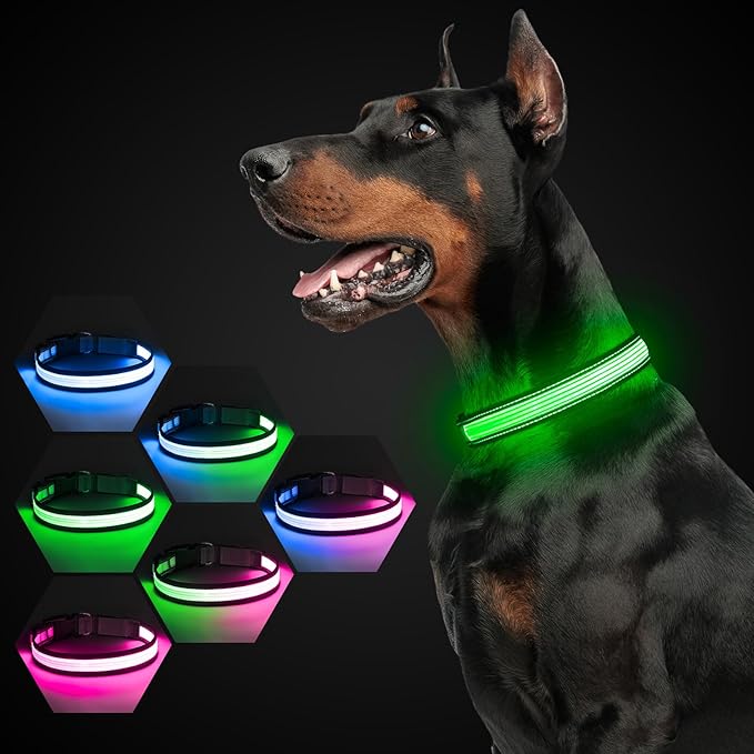 Multi-Color Light up Dog Collar, YFbrite USB Rechargeable LED Puppy Collar Super Bright Adjustable Glowing Dog Lights for Night Walking (Multi-Color, Large)