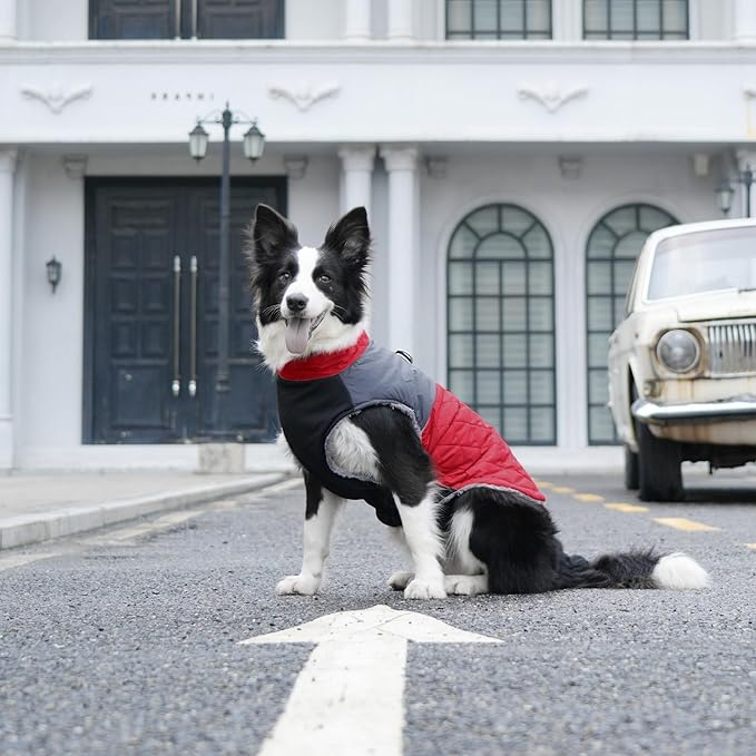Warm Fleece Dog Coats for Small Dogs,D-Rings Waterproof Puppy Jacket for Cold Winter,Red S