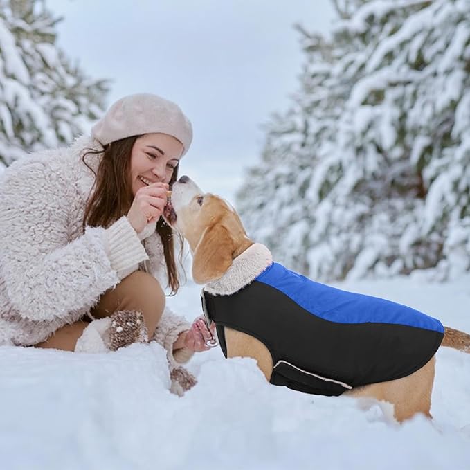 Warm Dog Coat,Waterproof Jacket in Winter Adjustable and Reversible Doggy Fleece Outfit,Thick Clothes with Foldable Collar for Puppy in Cold Days,M RoyalBlue