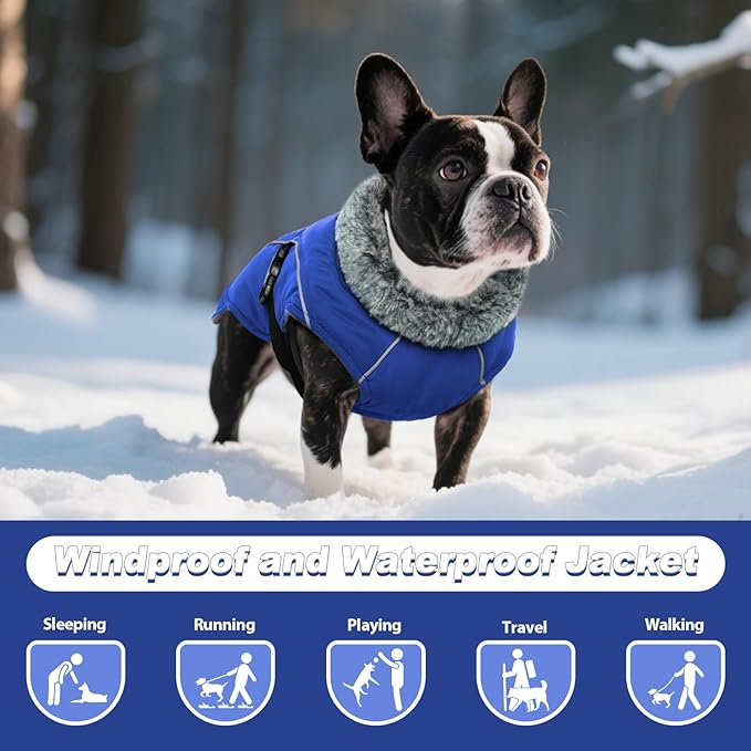 DENTRUN Large Dog Winter Coat - Windproof Reflective Warm Coat, Adjustable Neck & Snap Closure, Water Repellent Thick Fleece Vest, Fleece Lined for for Golden Retriever, Blue, XL