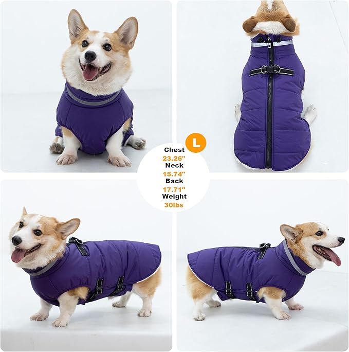 Medium Dog Coat with Harness Built-in, Waterproof Reflective Fleece Lined - Warm Windproof Winter Jacket with Back Zipper, Cold Weather Snow Dog Coats - Purple - M