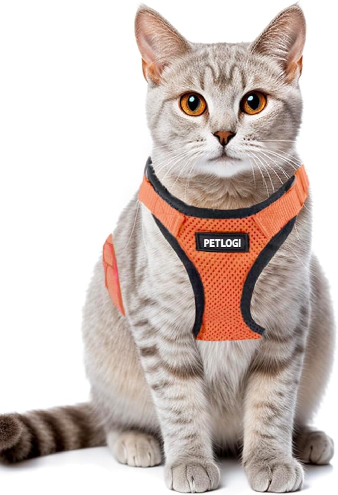 Cat Harness Escape Proof with Leash for Walking, Travel Vest Soft Chest Support, Adjustable Size, Escape Proof Soft Adjustable Vest Harnesses, Breathable, Kittens, Small Dogs (美/背縄/橙2/S)