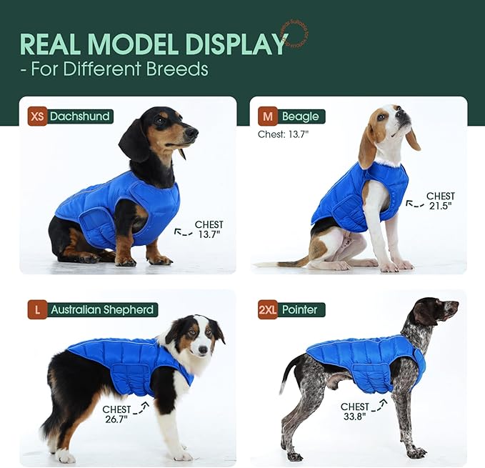 Kuoser Dog Puffer Jacket Warm Dog Coat for Extra Small Dogs, Windproof Reflective Pet Padded Vest Cold Weather Clothes Puppy Snowsuit with Hook & Loop Coats, Easy On/Off, Blue XS
