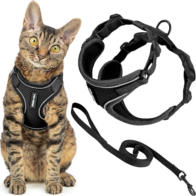 Voyager Escape Proof Cat Harness and Leash Set with Reflective Stitching, Neoprene Handle 5ft - Supports Small, Medium and Large Cats, Kittens for Walking by Best Pet Supplies - Black, XXXS