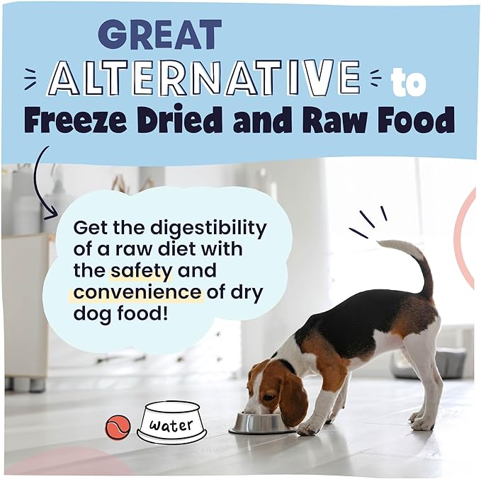 Pawstruck Air Dried Dog Food with Real Beef, Grain-Free, Made in USA, Non-GMO & Vet Recommended, High Protein Limited Ingredient Full-Feed for All Breeds & Ages, 2lb Bag