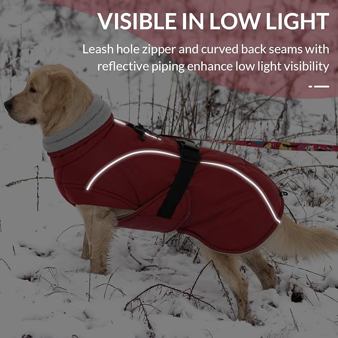Queenmore Small Dog Coat, Winter Jacket, Waterproof Puffy Snowsuit, Adjustable Reflective Fleece Lining Warm Padding Parka for Cold Weather, Red S