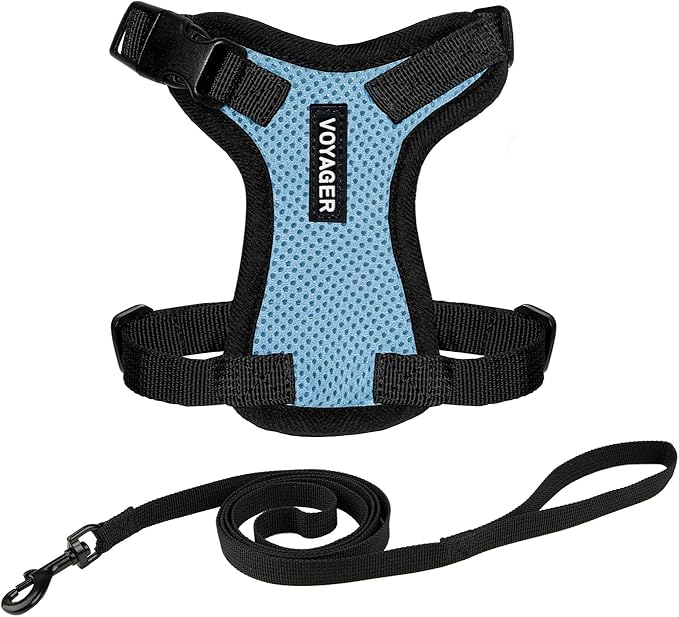 Voyager Step-in Lock Adjustable Cat Harness w. Cat Leash Combo Set with Neoprene Handle 5ft - Supports Small, Medium and Large Breed Cats by Best Pet Supplies - Baby Blue/Black Trim, XXXS