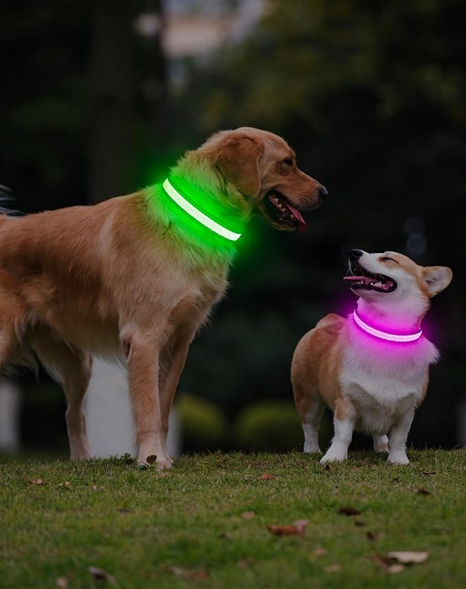 Weesiber Light Up Dog Collar, USB Rechargeable LED Dog Collar Glow in The Dark, Adjustable Reflective Waterproof Dog Collar Light for Night Walking(Pink, S)