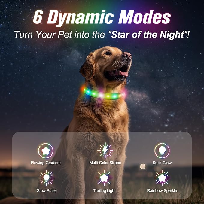 LED Dog Collar, Light Up Dog Collar, USB Rechargeable - Brightest Dog Lights for Night Walking, 6 Light Modes, Adjustable for Dog Safety(Small, Neon Green)