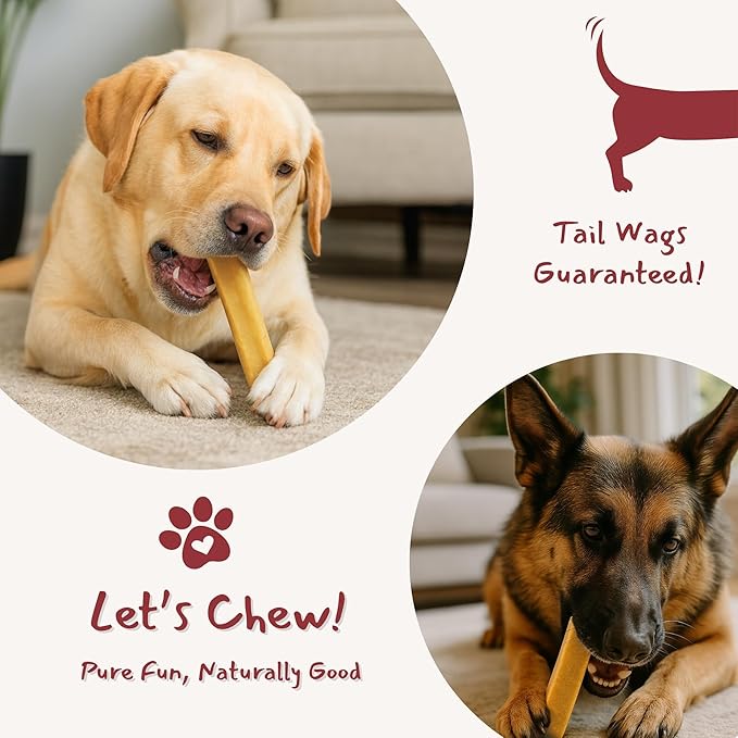 Majestic Pet Himalayan All-Natural Yak Cheese Dog Chews Made with 100% Cows Milk- Long Lasting Dental Chew for Dogs - Healthy Pet Treats (Dental & Bone Support, Large, 1 Pack)