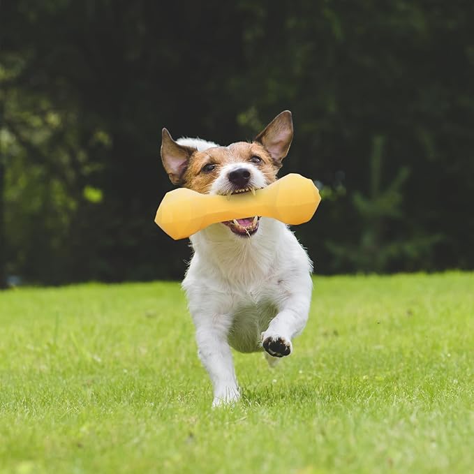 3 Pack Tough Dog Chew Toys for Medium and Large Breeds Cute Sturdy Dog Toys for Aggressive Chewers Bones Toy for Super Chewers Long Lasting Teeth Cleaning
