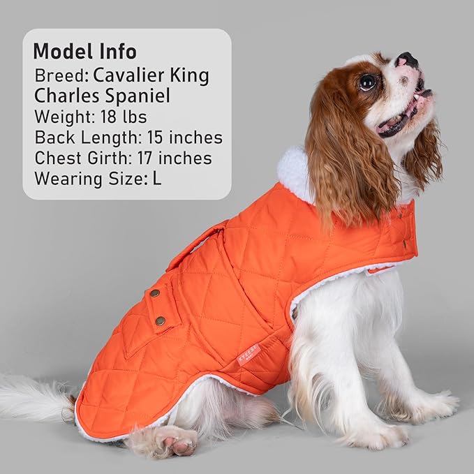 KYEESE Dog Coat Waterproof Cat Clothes for Cold Weather Windproof Pet Sweater with Fleece Lined Thick Dog Coats for Medium Dogs Soft Dogs Jacket with Pocket Warm Pet Winter Puffer Coat with Leash Hole