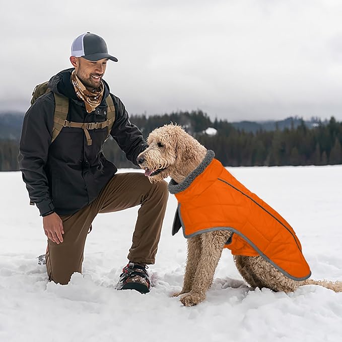 Fragralley Dog Coat Large, Waterproof Dog Jacket with Warm Fleece Lining, Adjustable Reflective Dogs Winter Coat, Turtleneck Pet Coats for Cold Weather (Orange XXL)