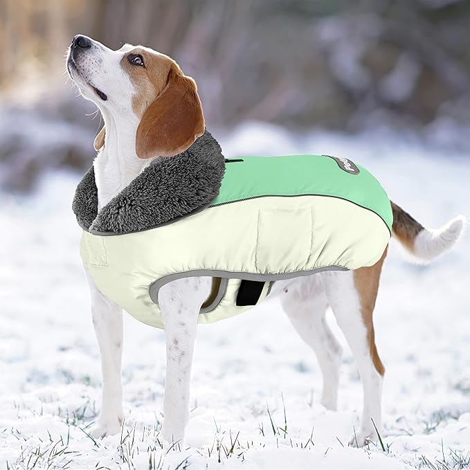 Dog Coat, Waterproof Dog Winter Jacket with Leash Hole, Reflective Adjustable Pet Fleece Sweater, Warm Snow Vest for Small Medium Large Dogs - Candy Green, 3XL