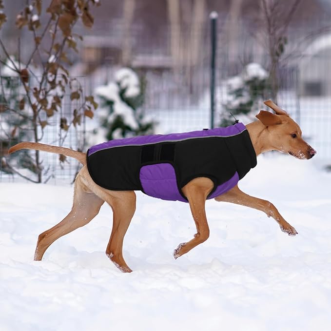 Kuoser Dog Jacket, Dog Coats for Large Dogs Winter Waterproof, Reflective Doggie Vest with Leash Hole, Cold Weather Coats Pet Snow Jacket for Labrador Beagle, Purple XL
