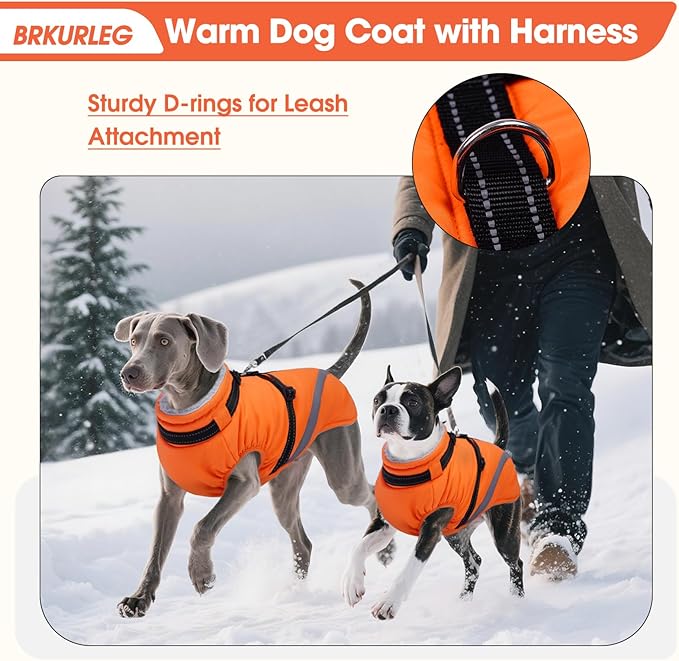 BRKURLEG Dog Winter Jackets for Large Dogs, Dog Coat with Harness Built in, Dogs Snowsuits with Zipper, Waterproof Windproof Pet Puffer Jacket Fleece Vest for Labrador, German Shepherd, Orange XXXL