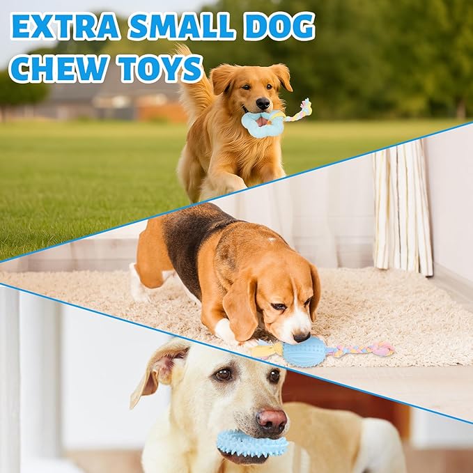 5 Pack Dog Chew Toys for Puppy Cute Blue Dog Toys Puppy Dog Toys for Teething Soft Durable Interactive Chew Toy for Small Dogs Light Blue