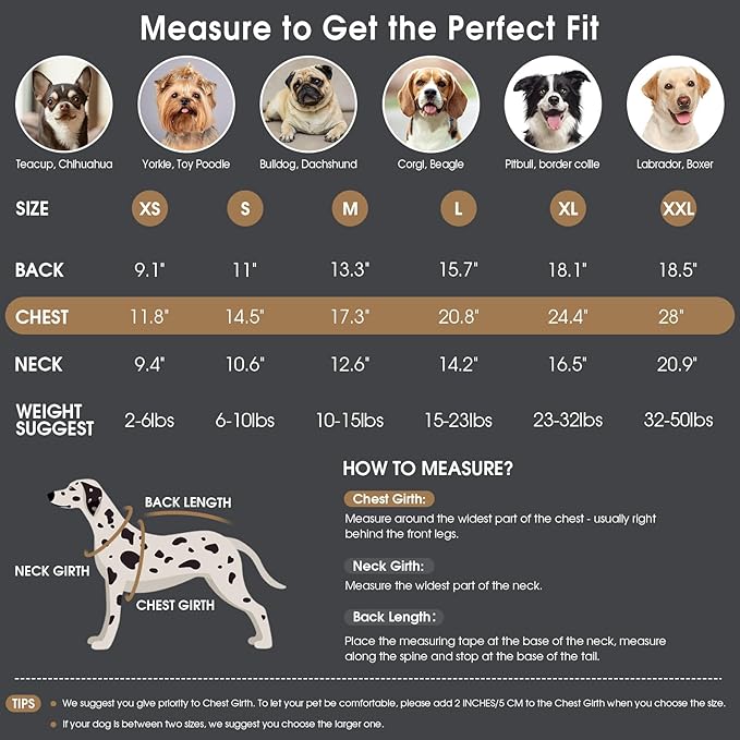 Queenmore XXL Dog Sweaters for Large Breeds, Large Dog Christmas Sweater, Soft & Warm Turtleneck Knitwear Pullover for Male/Female Pets, Winter Doggy Coat for Doberman/Pitbull/Great Dane - Grey, XXL