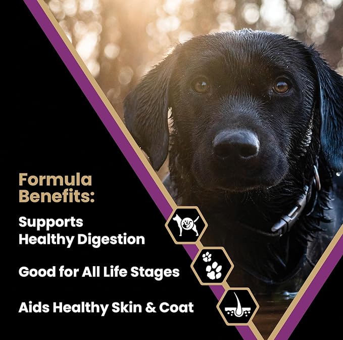 VICTOR Super Premium Dog Food – Professional Dry Dog Food – Super Premium Kibble with 26% Protein – Gluten-Free with Beef, Chicken & Pork Meals – for High Energy and Active Dogs & Puppies, 30lbs