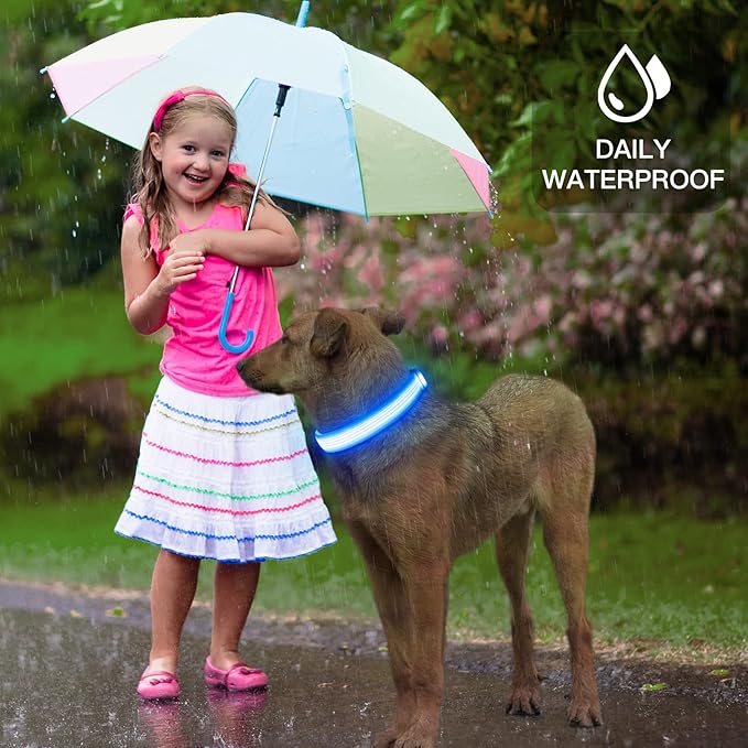 YFbrite Light up Dog Collar, USB Rechargeable LED Puppy Collar Super Bright Adjustable Glowing Dog Lights for Night Walking (Design-2- Blue, Medium)