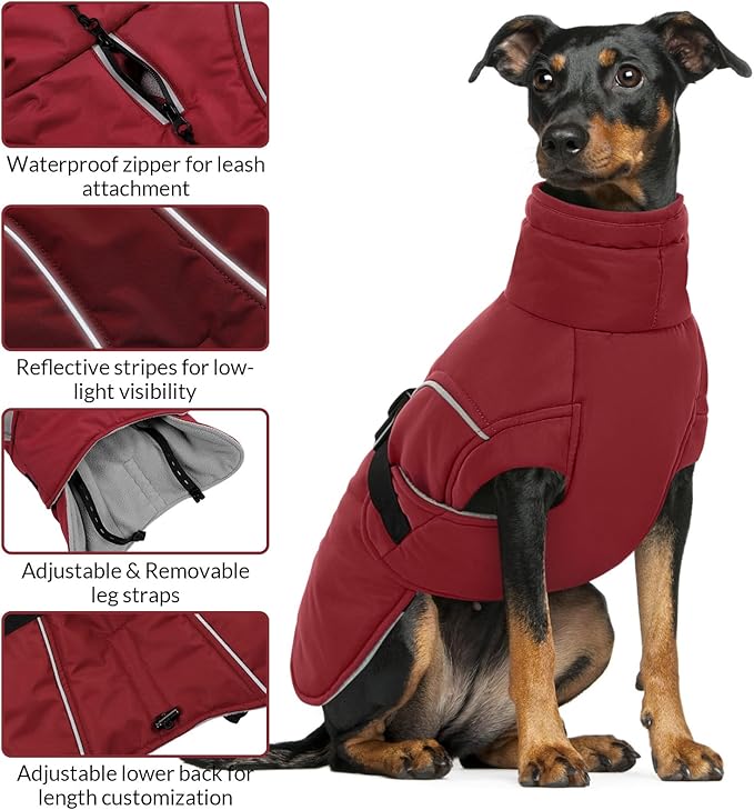 Queenmore Small Dog Coat, Winter Jacket, Waterproof Puffy Snowsuit, Adjustable Reflective Fleece Lining Warm Padding Parka for Cold Weather, Red S
