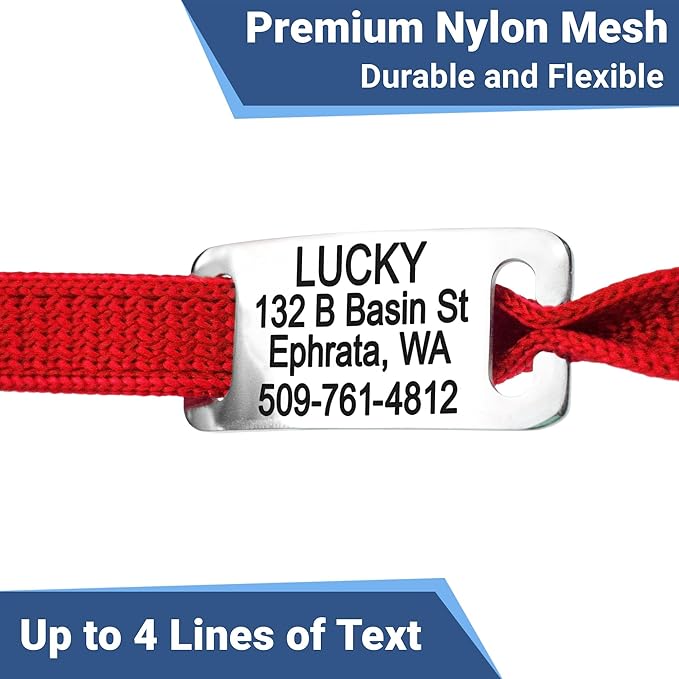 GoTags Cat Collars with Personalized Tag, Breakaway Collar with Safety Buckle Matching Bell, Engraved Custom with Name and Phone, Adjustable for Cats and Kitten, (Orange with Nameplate)
