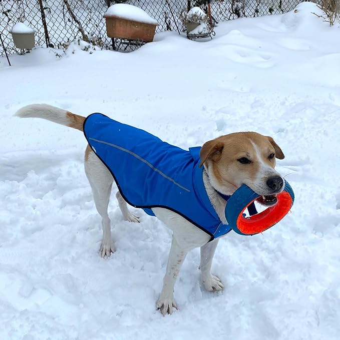 Mile High Life Dog Raincoat, Adjustable Waterproof Reflective Rain Jacket for Small Medium Large Dogs, Lightweight Breathable Pet Rain Coat with Leash Hole(Blue,M Chest 26-32")