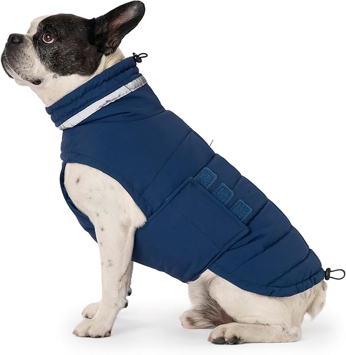 Dog Coat, Waterproof Winter Jacket, Warm Windproof Jacket, Reflective Adjustable Turtleneck Coats for Medium Dogs with Hook & Loop - Blue - M