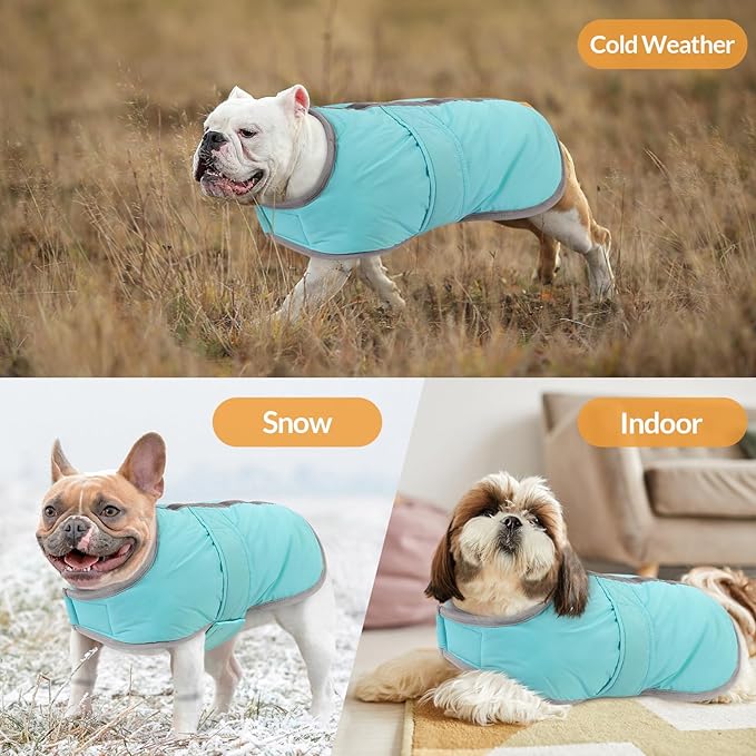 Queenmore Winter Coat, Fleece Puffer Down Vest, Cold Weather Pet Jacket, Waterproof Reflective Reversible Sweater Clothes for Small, Medium and Large Dogs (Light Blue, S)