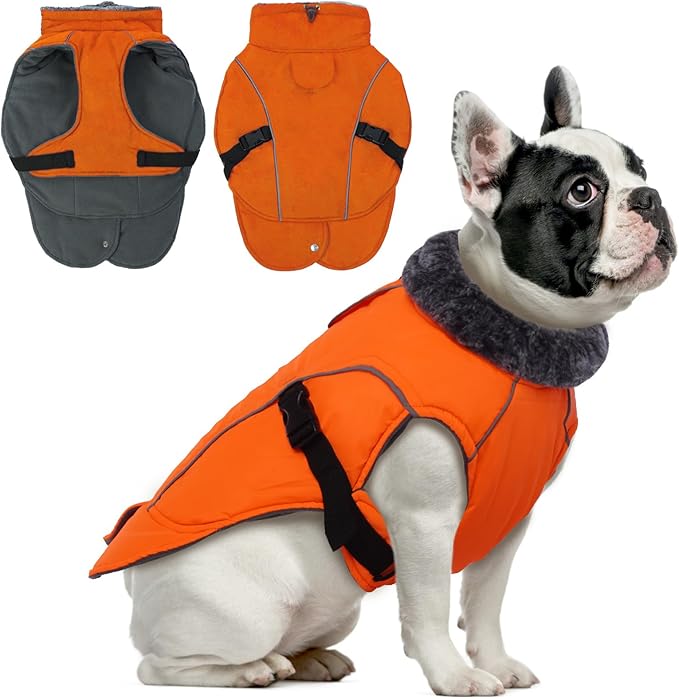 DENTRUN Small Dog Winter Warm Coat - Windproof Cozy Jacket, Thick Fleece Vest with Adjustable Belt, Water Repellent, Reflective Dog Sweater for Yorkie Dachshund Wear, Orange, S